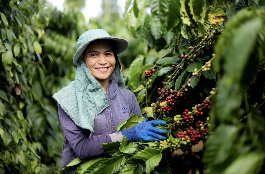 undefined Nestlé Việt Nam lan tỏa kinh tế tuần hoàn trong nông nghiệp