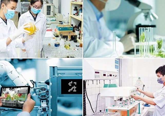 Cải cách căn bản  trong quản lý và thu hút đầu tư