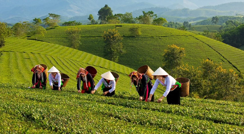 Phú Thọ khẳng định hiệu quả mô hình giảm nghèo bền vững