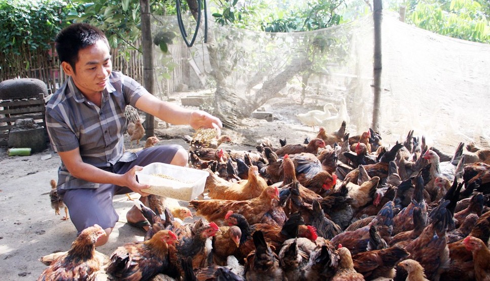 Tỷ lệ hộ nghèo đa chiều giảm từ 4,4% năm 2021 xuống còn 1,3% năm 2025