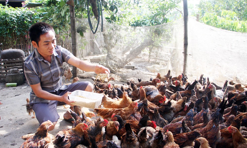 Tỷ lệ hộ nghèo đa chiều giảm từ 4,4% năm 2021 xuống còn 1,3% năm 2025 (XB 22/11)