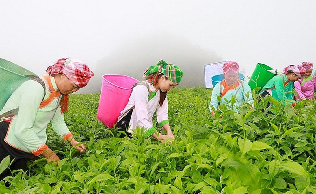 Lào Cai đặt mục tiêu giảm nghèo bền vững giai đoạn 2026 - 2030