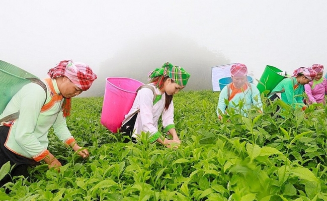 Lào Cai đặt mục tiêu giảm nghèo bền vững giai đoạn 2026 - 2030