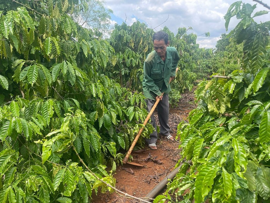 Lâm Đồng đặt mục tiêu giảm nghèo bền vững giai đoạn 2026 - 2030