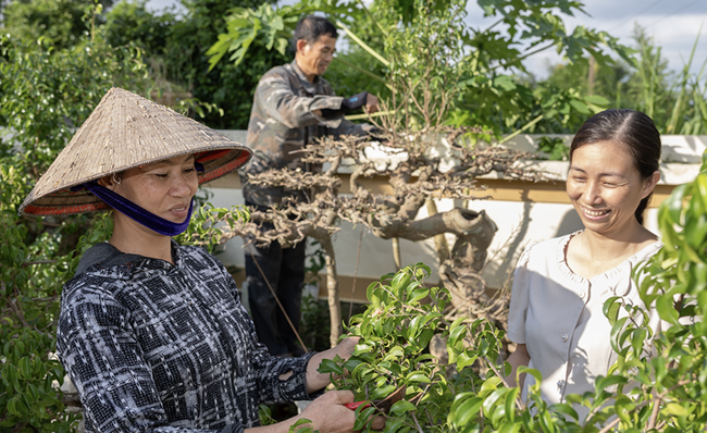 Khánh Hòa quyết tâm đưa tỷ lệ nghèo đa chiều đến cuối năm 2025 giảm từ 1%-1,5%(XB 4/11)