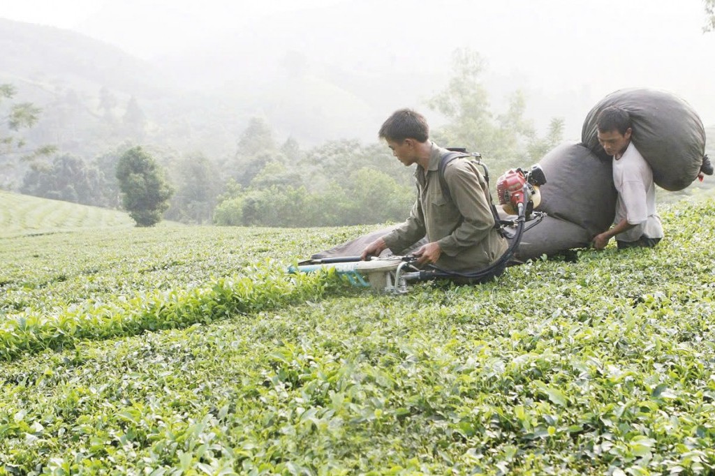 Tạo khung pháp lý hoàn chỉnh cho chương trình mục tiêu quốc gia