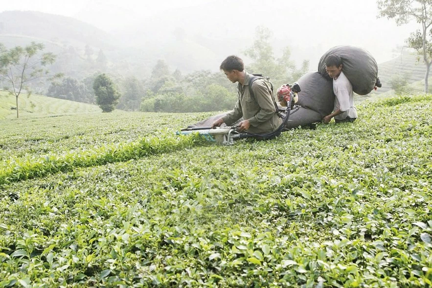 Tạo khung pháp lý hoàn chỉnh cho chương trình mục tiêu quốc gia Tạo khung pháp lý hoàn chỉnh cho chương trình mục tiêu quốc gia