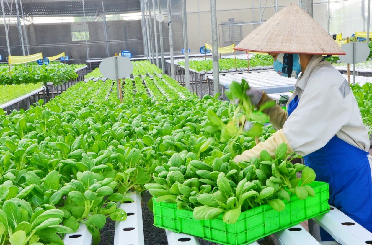 Thúc đẩy kinh tế tuần hoàn carbon thấp thông qua đổi mới công nghệ sạch