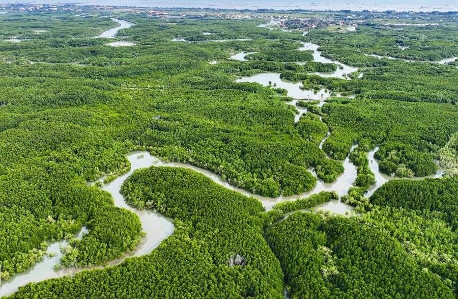 Việt Nam sẽ xây dựng cơ sở dữ liệu carbon xanh quốc gia, hướng tới mục tiêu giảm phát thải