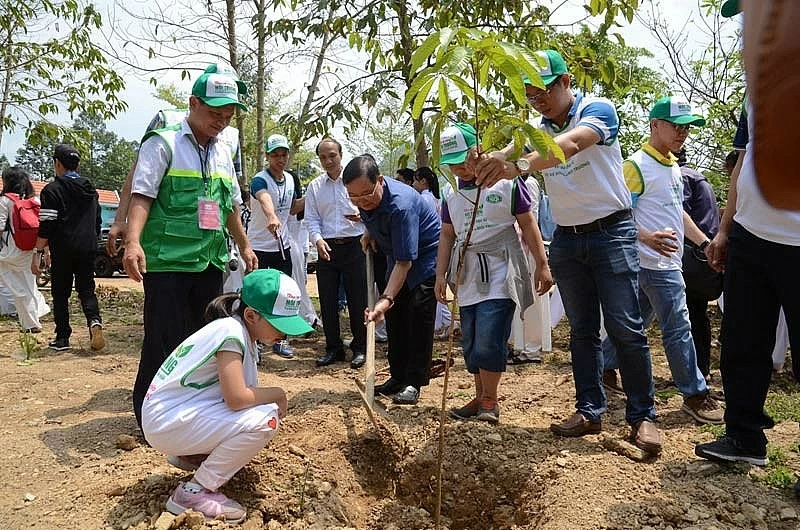 undefined Vĩnh Long siết chặt quản lý môi trường, xử lý dứt điểm điểm nóng ô nhiễm
