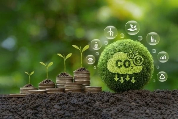 Đà Nẵng cho phép dùng nguồn thu từ tín chỉ carbon đầu tư cho các dự án kinh tế xanh