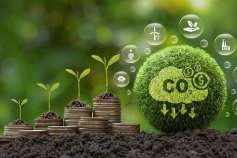 Đà Nẵng cho phép dùng nguồn thu từ tín chỉ carbon đầu tư cho các dự án kinh tế xanh