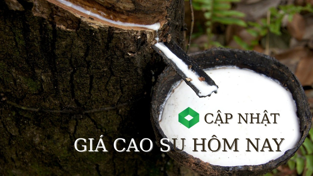 Ngày 28/12: Giá cao su tại Nhật Bản tăng ba tuần liên tiếp