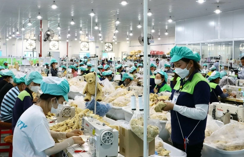Những chính sách mới nổi bật có hiệu lực từ tháng 1/2026 Công nhân sản xuất tại Khu công nghiệp Du Long. Ảnh: TTXVN phát)