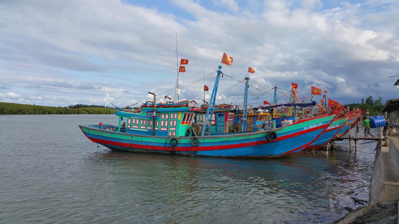 Hoàn thiện khung pháp lý thủy sản để phát triển bền vững