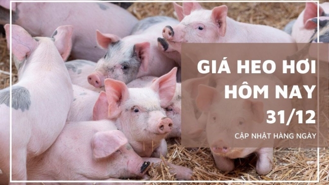 Ngày 31/12: Giá heo hơi tăng - giảm trái chiều trong ngày cuối cùng của năm