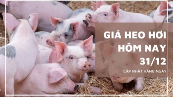 Ngày 31/12: Giá heo hơi tăng - giảm trái chiều trong ngày cuối cùng của năm