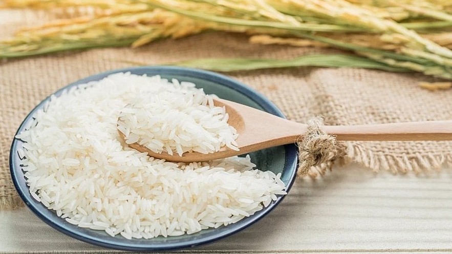 Ngày 5/1: Giá lúa gạo tại Đồng bằng sông Cửu Long đi ngang sau kỳ nghỉ Tết Dương lịch 2026