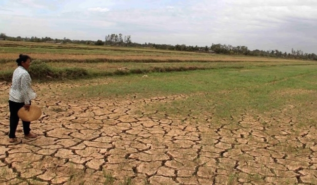 Việt Nam chung tay hiện thực hoá các mục tiêu Công ước chống sa mạc hoá