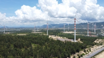 Gia Lai dự kiến tổ chức đấu giá, đấu thầu 138 dự án trong năm 2026