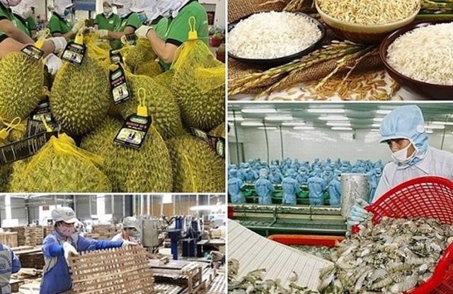 Hướng tới mục tiêu xuất khẩu nông, lâm, thủy sản năm 2026 là 73 - 74 tỷ USD