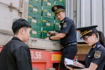 Hải quan Khu vực XIV: Doanh nghiệp tham gia làm thủ tục hải quan tăng gần 10%