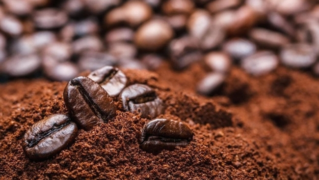 Ngày 11/1: Giá cà phê về sát 97.000 đồng/kg, hồ tiêu duy trì ở mức cao