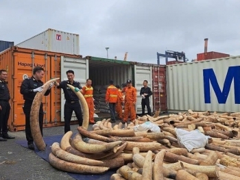 Hải quan triệt phá nhiều điểm nóng buôn lậu