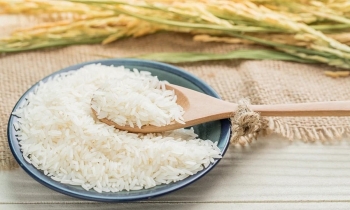 Ngày 13/1: Giá lúa gạo tại khu vực Đồng bằng sông Cửu Long trầm lắng