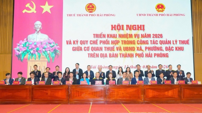 Thuế TP. Hải Phòng nhanh chóng vào cuộc” triển khai công tác thuế ngay từ đầu năm