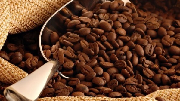 Ngày 15/1: Giá cà phê tăng, hồ tiêu neo cao ở mức 152.000 đồng/kg