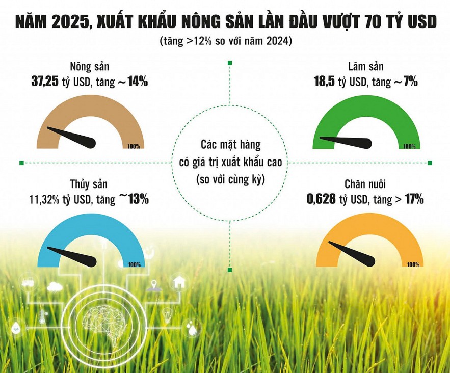 Xuất khẩu nông sản: Gia tăng giá trị từ khoa học công nghệ