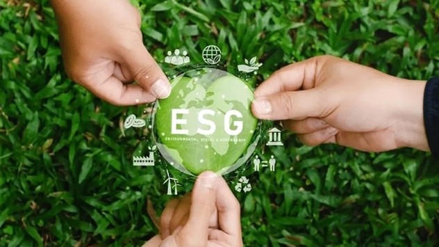 Thí điểm Chứng nhận cổ phiếu Xanh VNX