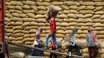 Thị trường nông sản: Giá gạo Ấn Độ, Thái Lan giảm nhẹ