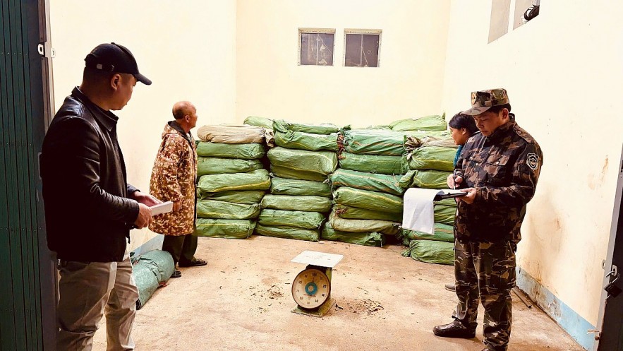 Hải quan bắt giữ hơn 1,5 tấn thực phẩm nhập lậu và hơn 3,3 tấn lá thuốc lá