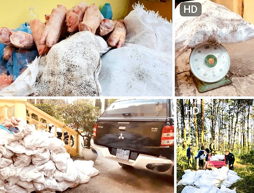 Hải quan bắt giữ hơn 1,5 tấn thực phẩm nhập lậu và hơn 3,3 tấn lá thuốc lá