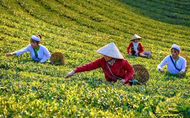Hỗ trợ doanh nghiệp, xử lý kịp thời các khó khăn, vướng mắc phát sinh để duy trì đà tăng trưởng xuất khẩu
