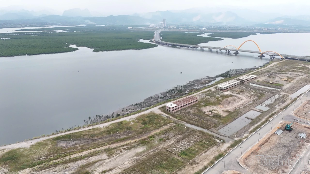 UBND tỉnh Quảng Ninh giao Ban Quản lý dự án đầu tư xây dựng khu vực I sớm hoàn thiện phương án đề xuất cầu Cửa Lục 2