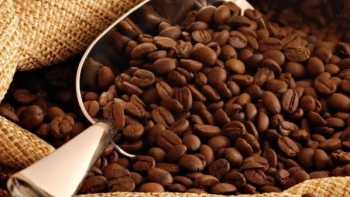 Ngày 21/1: Giá cà phê tăng, hồ tiêu áp sát mốc 150.000 đồng/kg