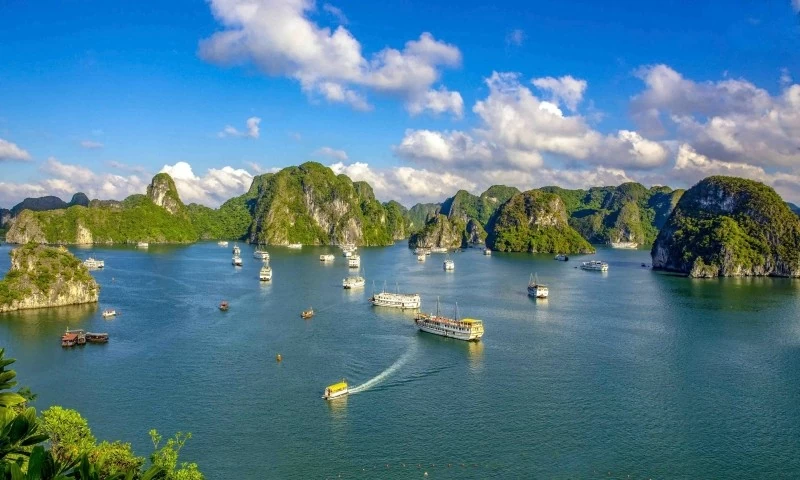 Hướng tới mô hình thống nhất trong quản lý các di sản có tầm thế giới Hướng tới mô hình thống nhất trong quản lý các di sản có tầm thế giới