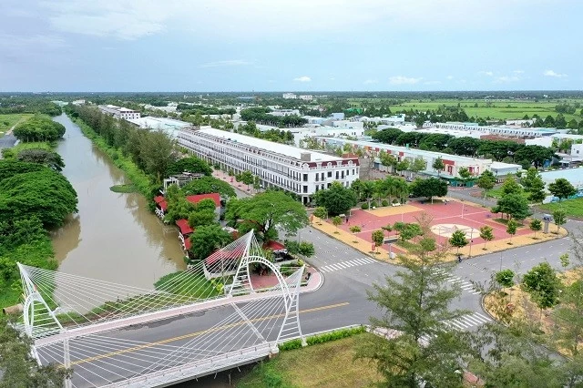 CCL báo lỗ quý IV/2025