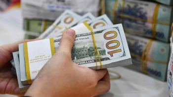 Tỷ giá USD hôm nay (23/1): Thế giới và "chợ đen" cùng quay đầu giảm mạnh