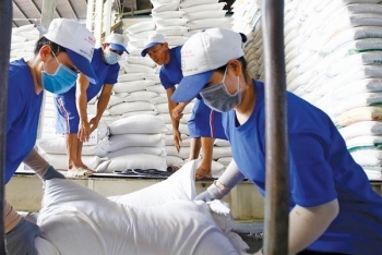 Dự báo giá gạo năm 2026 sẽ tiếp tục chịu áp lực giảm