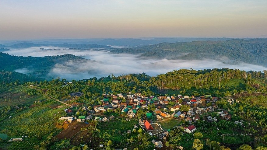 Gia Lai xúc tiến phê duyệt dự án ODA 17,193 triệu Euro về phục hồi, phát triển rừng bền vững