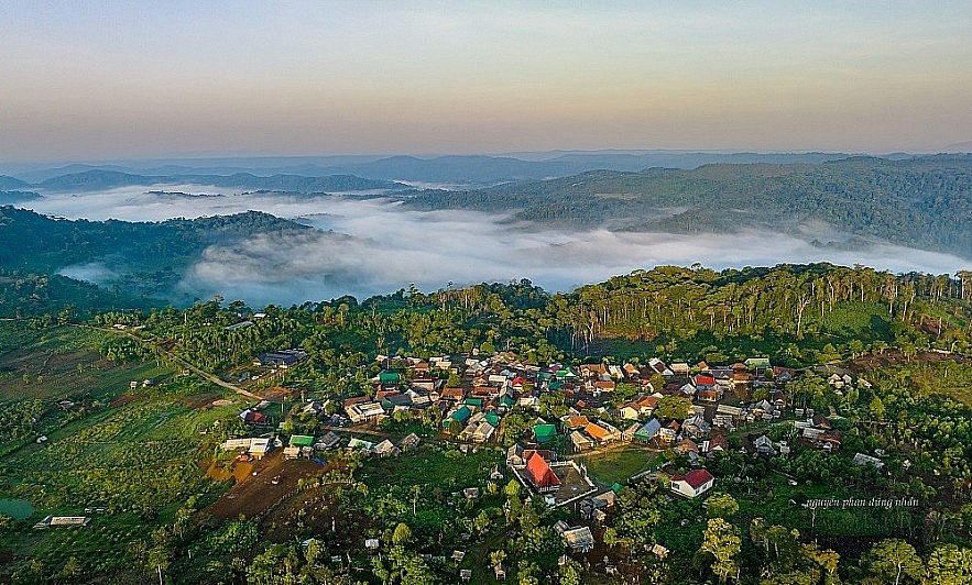 Gia Lai xúc tiến phê duyệt dự án ODA về phục hồi, phát triển rừng bền vững