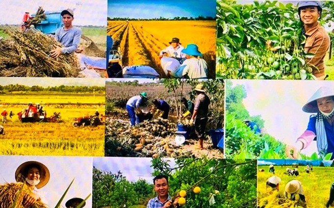 Mục tiêu tăng trưởng GDP toàn ngành nông nghiệp và môi trường năm 2026 đạt 3,7%