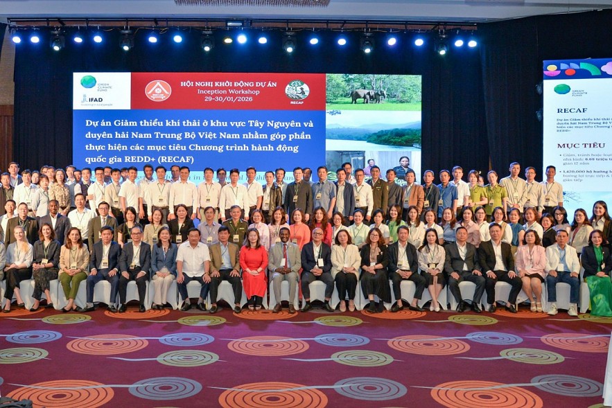 Khởi động sáng kiến trị giá 102 triệu USD nhằm bảo vệ rừng và cải thiện sinh kế nông thôn cho Việt Nam Khởi động sáng kiến trị giá 102,5 triệu USD nhằm bảo vệ rừng và cải thiện sinh kế nông thôn cho Việt Nam