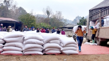 Hoàn thành xuất cấp hơn 810 tấn gạo hỗ trợ nhân dân tỉnh Cao Bằng dịp Tết Nguyên đán 2026