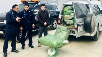 Hải quan bắt giữ vụ buôn lậu gần 800 kg lá thuốc lá tại Cao Bằng