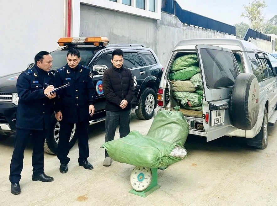 Hải quan khu vực XVI chặn đứng vụ buôn lậu gần 800 kg lá thuốc lá tại Cao Bằng